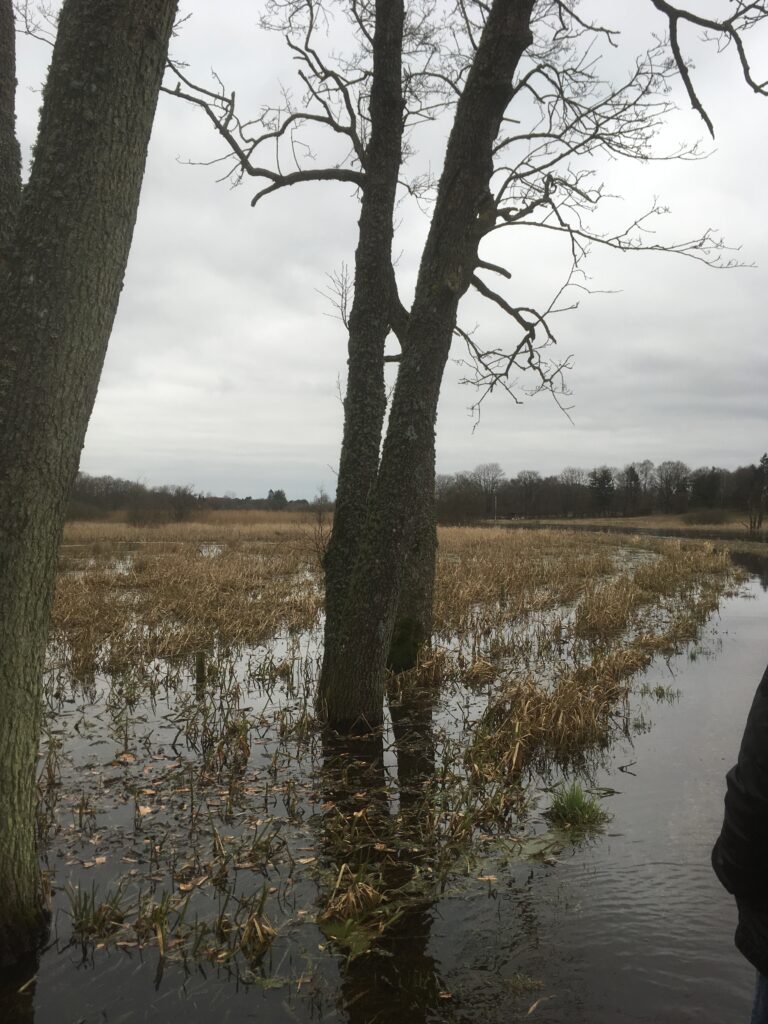 Engstykke ved Svostrup