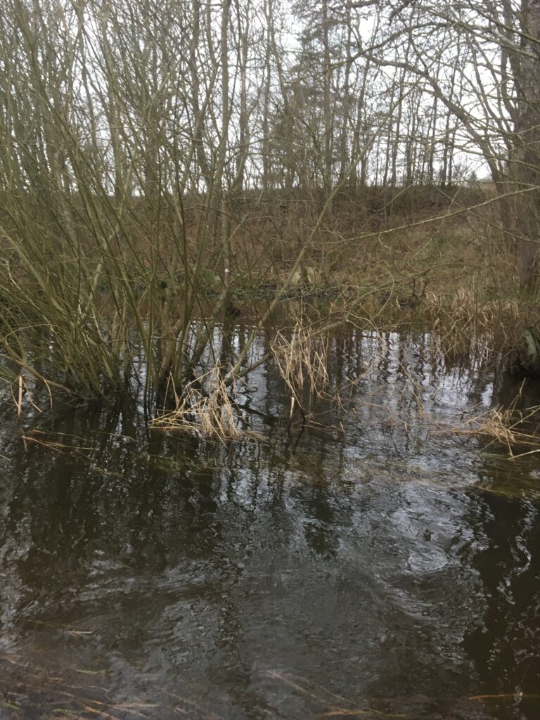 Engstykke ved Svostrup ...